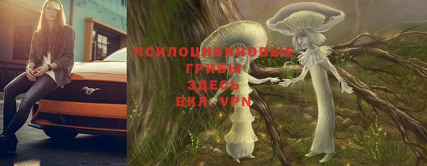 марки lsd Алексеевка