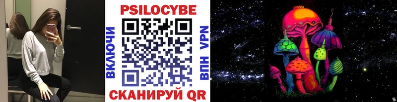 Псилоцибиновые грибы Psilocybine cubensis  Катав-Ивановск 